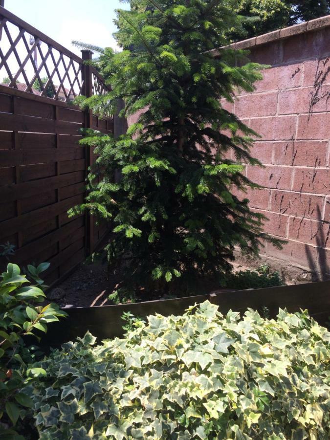 Apartament La Porta Nel Giardino Asti Zewnętrze zdjęcie