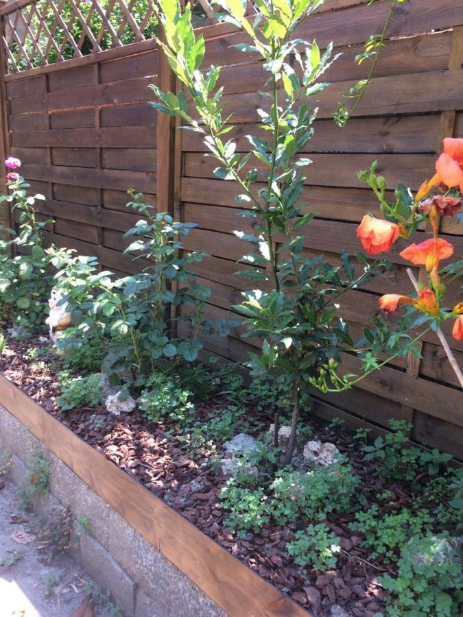 Apartament La Porta Nel Giardino Asti Zewnętrze zdjęcie
