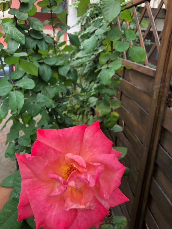 Apartament La Porta Nel Giardino Asti Zewnętrze zdjęcie